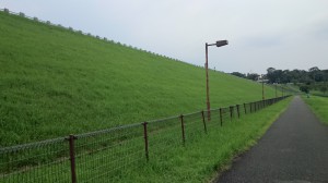 2014-09-03_16.23.52_Sony_C6903_ISO50