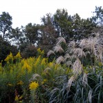 2014-10-11_16.57.10_SONY_DSC-HX60V_ISO160