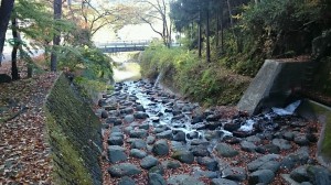 枝杓流川と橋