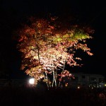 2014-11-07_18.49.17_SONY_DSC-HX60V_ISO800