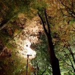 2014-11-07_19.15.31_SONY_DSC-HX60V_ISO800