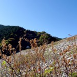 2014-11-14_10.46.38_SONY_DSC-HX60V_ISO80