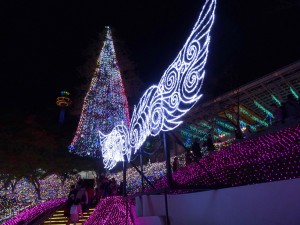 2014-11-14_17.27.24_SONY_DSC-HX60V_ISO200