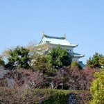 2014-11-21_11.56.49_SONY_DSC-HX60V_ISO80