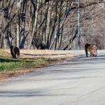 2014-11-22_13.40.20_SONY_DSC-HX60V_ISO160