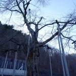 2014-11-22_14.16.30_SONY_DSC-HX60V_ISO80