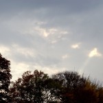 2014-11-30_14.53.59_SONY_DSC-HX60V_ISO80