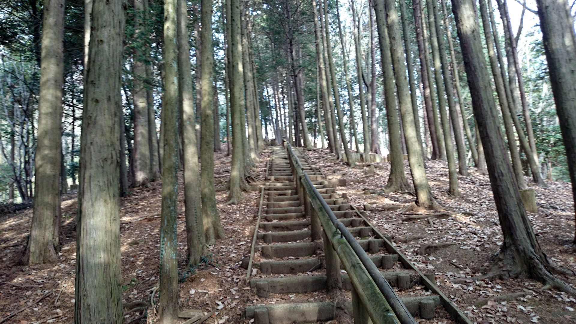 桜山展望台