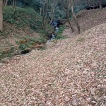 2014-12-20_11.04.57_Sony_C6833_ISO50