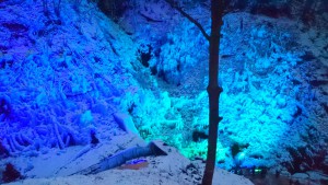 2015-01-17_17.19.50_Sony_SO-04F_ISO1250