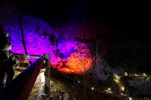 2015-02-14_19.06.58_SONY_ILCE-7S_ISO12800