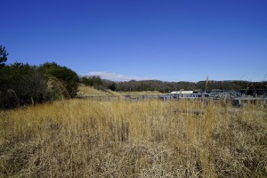 2015-03-05_09.35.52_SONY_ILCE-7S_ISO100