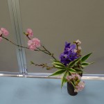 2015-03-28_15.11.54_SONY_DSC-HX60V_ISO250_F3.5_1／100sec