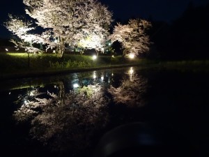 DSC-HX60V手持ち夜景モード。