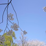 2015-03-31_12.51.19_SONY_ILCE-7S_ISO100_F5.0_1／1250sec