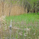 2015-04-04_14.45.53_SONY_DSC-HX60V_ISO200_F6.3_1／160sec
