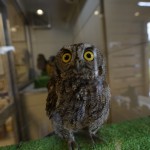 2015-06-12_11.08.31_SONY_ILCE-7S_ISO640_F4.0_1／60sec
