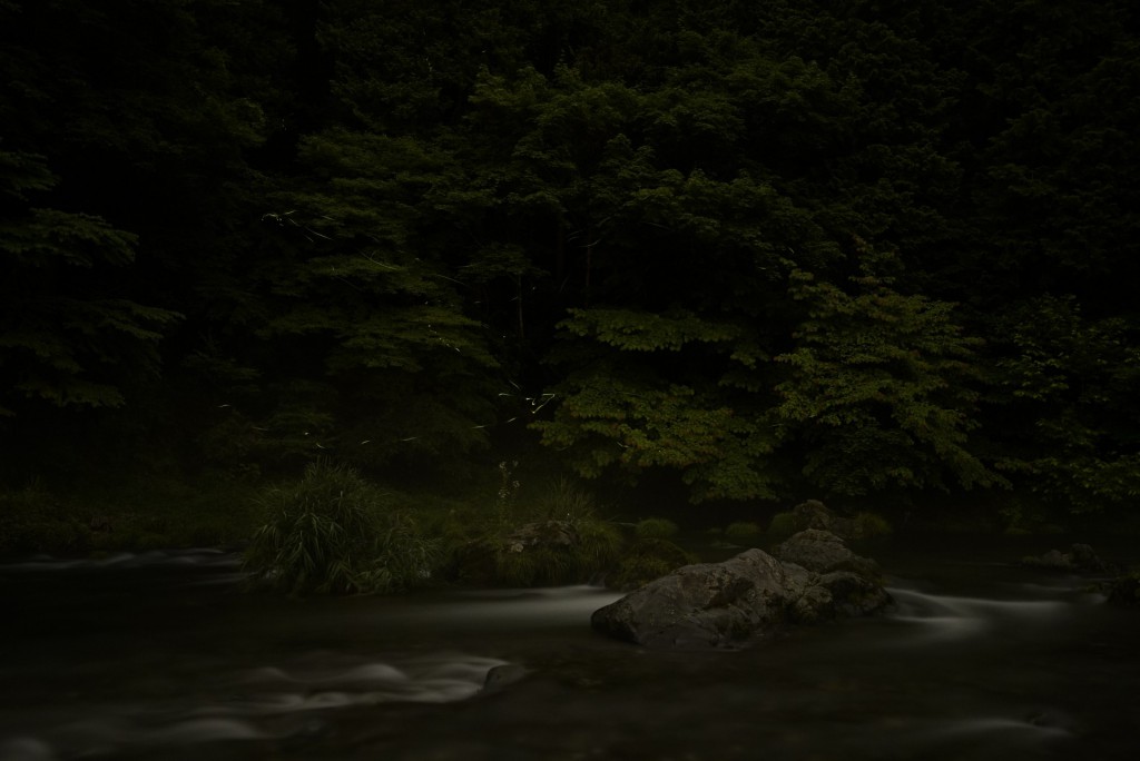 2015-06-27_20.05.26_SONY_ILCE-7S_ISO1000_F4.0_30.000sec