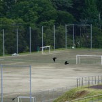 2015-07-17_16.34.54_SONY_ILCE-5100_ISO800_F6.3_1／1000sec