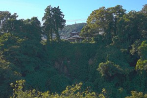 2015-10-14_13.56.50_SONY_ILCE-7S_ISO100_F8.0_1／200sec