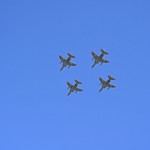 2015-11-03_10.15.16_SONY_ILCE-5100_ISO100_F4.5_1／500sec