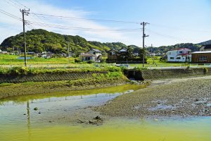 2016-04-08_08.52.09 SONY_ILCE-7S_ISO125_AvF3.5_Tv800_24mm_M