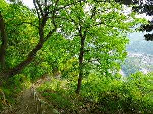 2016-05-02_12.57.33 SONY_DSC-HX90V_ISO80_AvF3.5_Tv250_24mm_P
