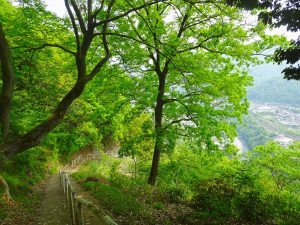 2016-05-02_12.57.33 SONY_DSC-HX90V_ISO80_AvF3.5_Tv250_24mm_P