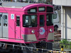 2016-06-03_15.16.44 SONY_DSC-HX90V_ISO80_AvF6.3_Tv250_514mm_P
