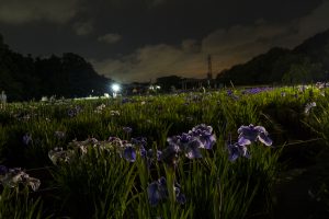 2016-06-12_20.17.07 SONY_ILCE-7S_ISO1250_AvF5.6_Tv2.5_35mm_M