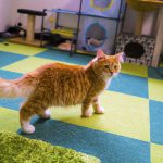 2016-07-21_16.04.47 SONY_ILCE-7S_ISO200_AvF2.8_Tv60_35mm_A