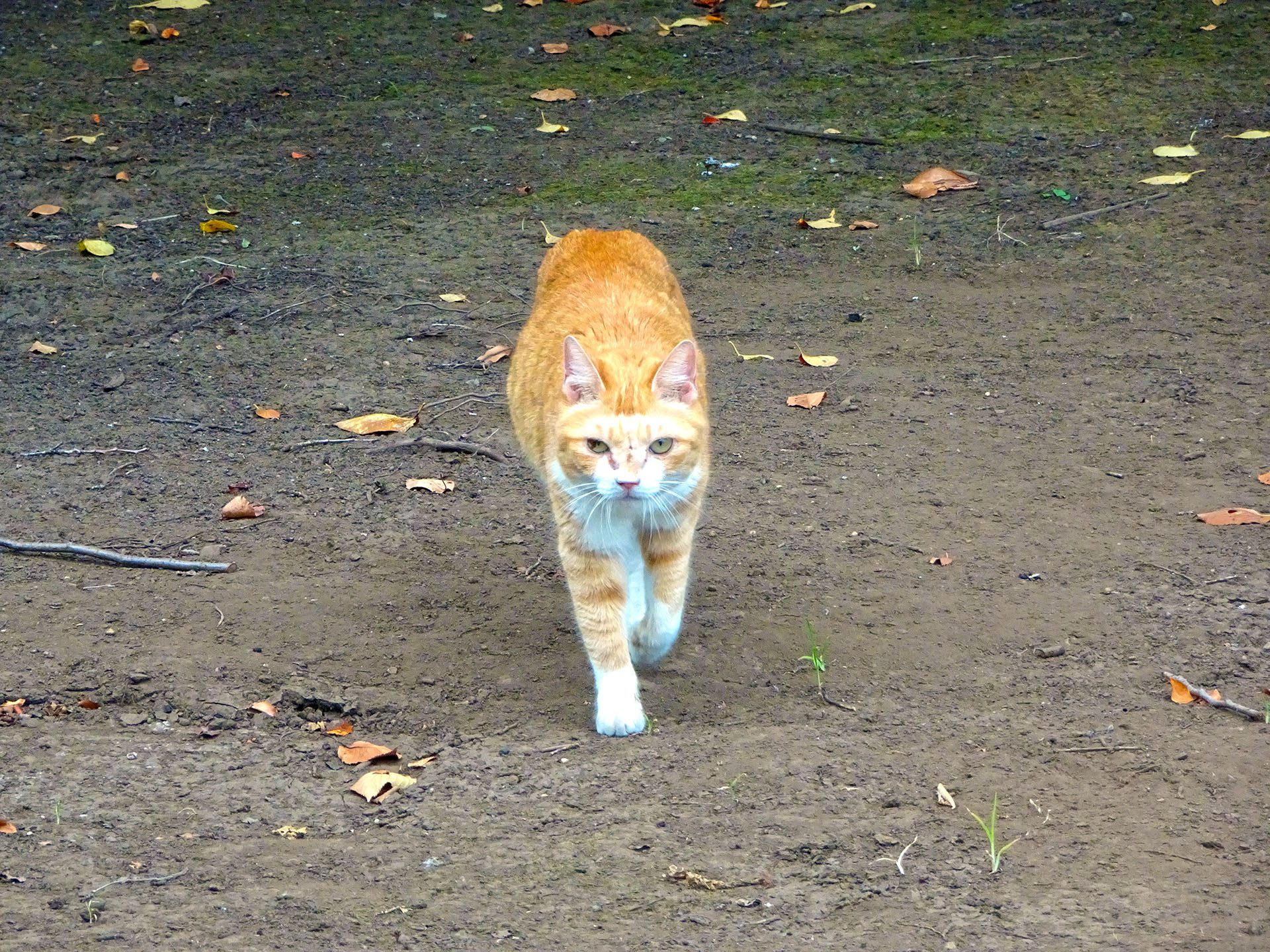 2016-08-15_13.46.09 SONY_DSC-HX90V_ISO320_AvF6.3_Tv250_247mm_P