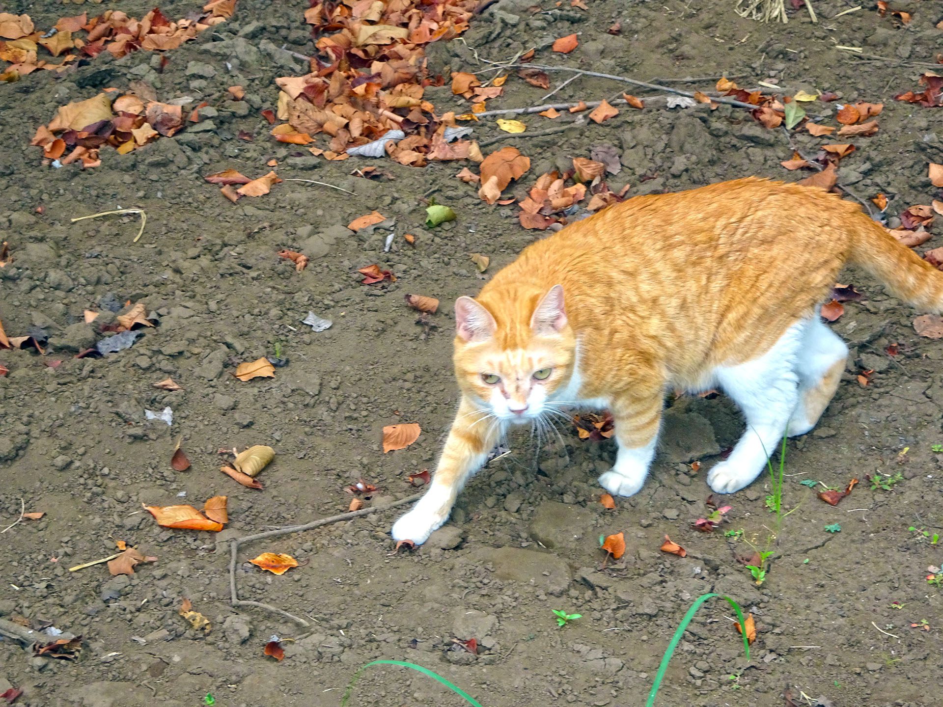 2016-08-15_13.46.22 SONY_DSC-HX90V_ISO100_AvF5.0_Tv125_105mm_P