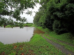 2016-08-22_16.04.48 SONY_DSC-HX90V_ISO125_AvF3.5_Tv100_24mm_S