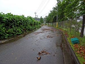 2016-08-22_16.08.48 SONY_DSC-HX90V_ISO125_AvF3.5_Tv100_24mm_S